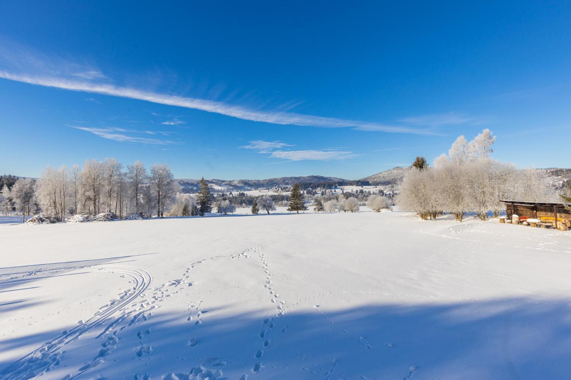 Penzion Chlustov Strazny Dış mekan fotoğraf
